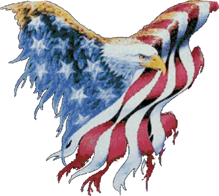 4th Of July Eagles (712x637), Png Download