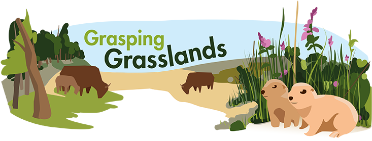 Grassland Biome - Biome Plant Grass (750x330), Png Download