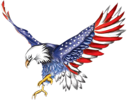 American Flag Eagle - Cool American Flag Designs (510x380), Png Download