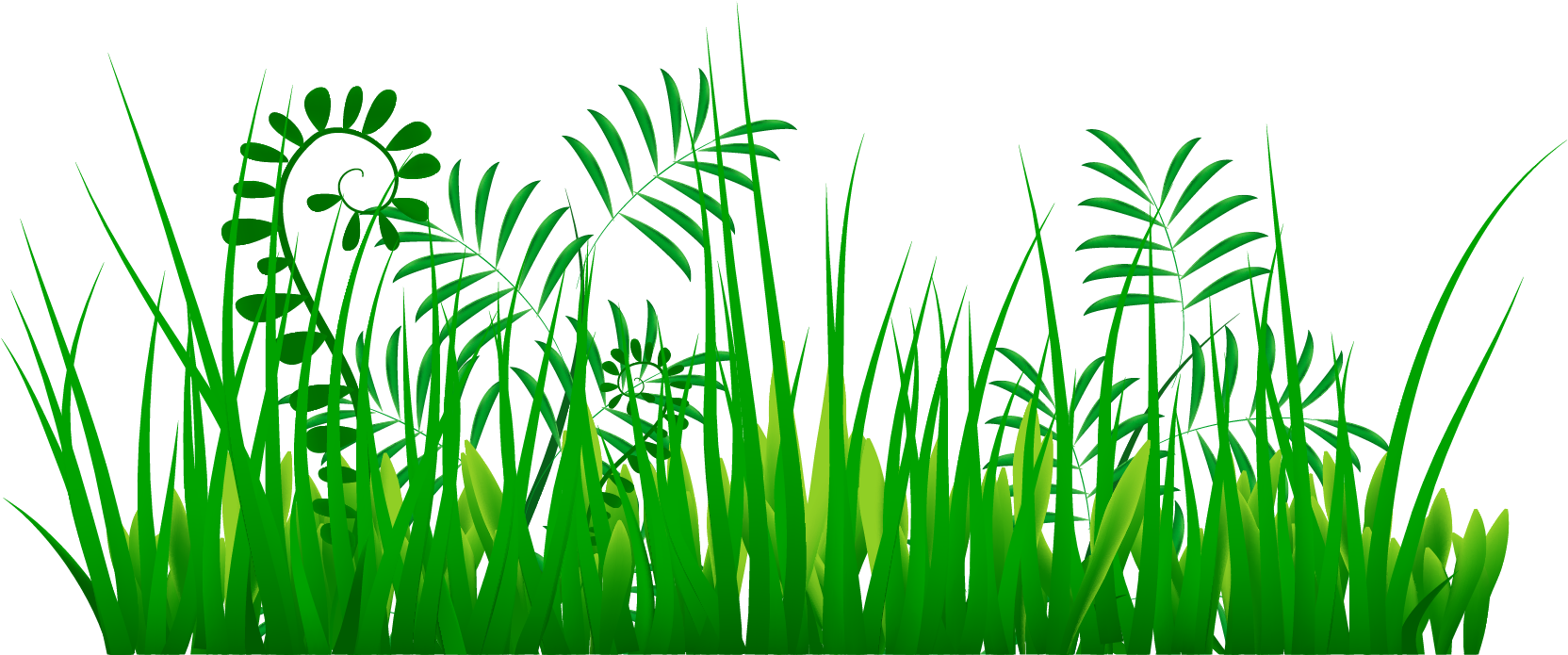Yükle Grass Png Images - Portable Network Graphics (1679x971), Png Download