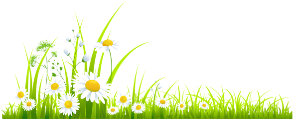 Clip Art Black And White Stock Grass Clipart Png - Spring Grass Clipart (600x240), Png Download