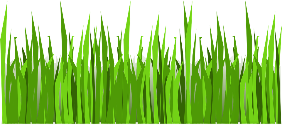 Grass Png Vector (960x480), Png Download