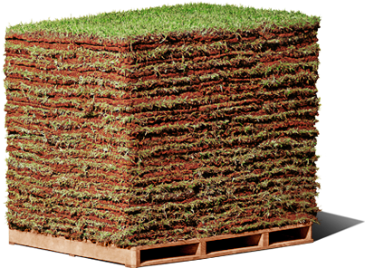 Grama Esmeralda - Gramas Para Campo De Futebol (741x347), Png Download