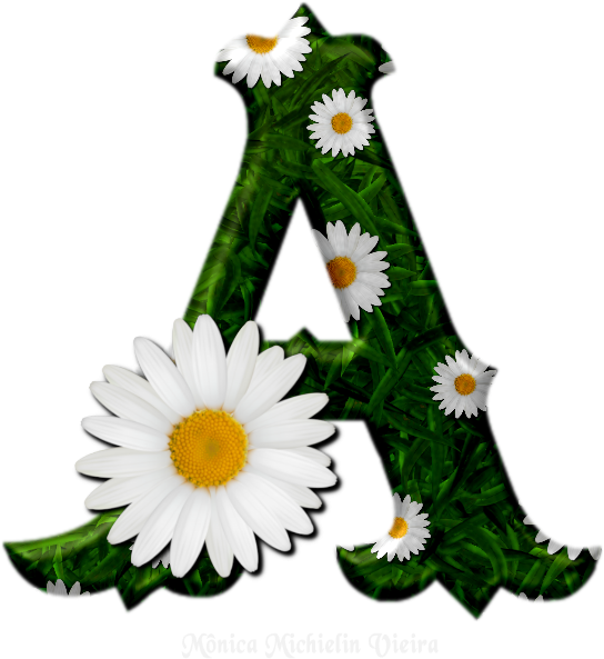 Alfabeto Grama Com Margarida Em Png - White Daisy Transparent Background (600x600), Png Download