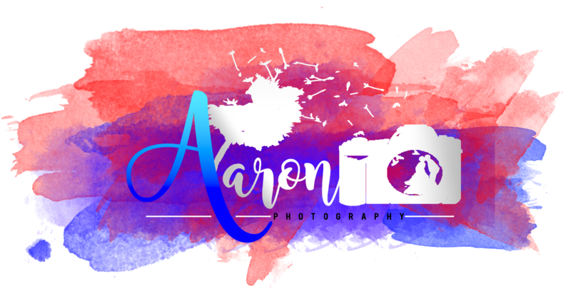 Aaron D - Photography - Visual Arts (800x480), Png Download