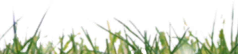 Conect - Sweet Grass (961x219), Png Download