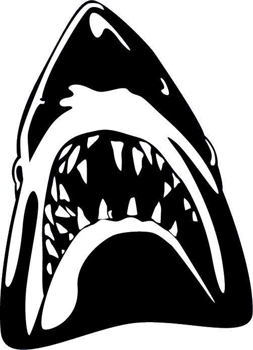 Sharks - Shark (502x692), Png Download