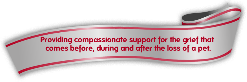 New Ribbon Slider - Ribbon (864x289), Png Download