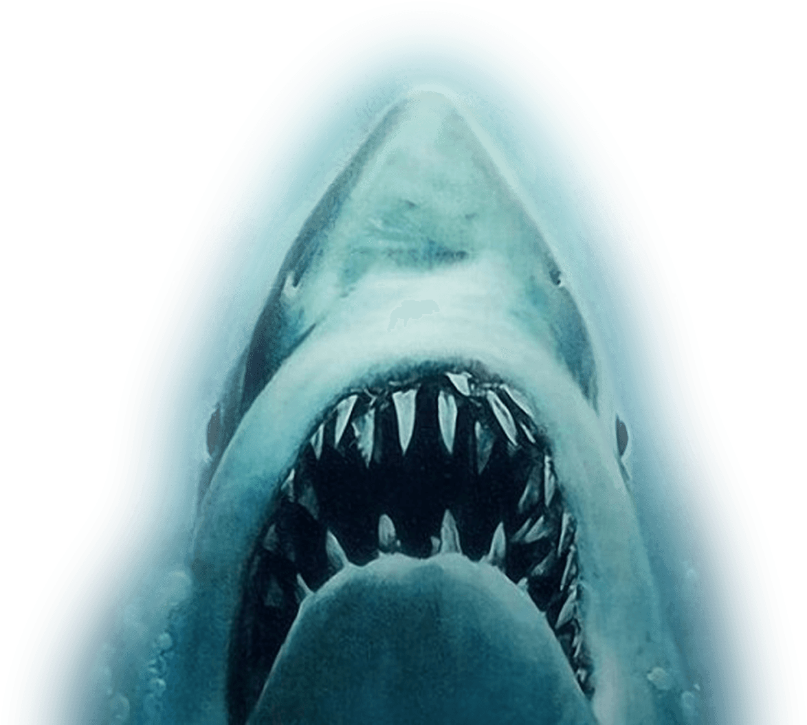 Shark Attack Png Download - Michael Jackson: The Life Of An Icon (dvd) (1221x1063), Png Download