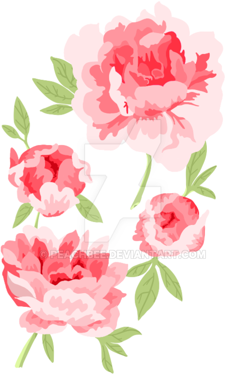 Tattoos Transparent Peony - Lineless Rose Tattoo (600x800), Png Download