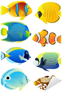 Cartoon Tropical Fish Png (400x400), Png Download