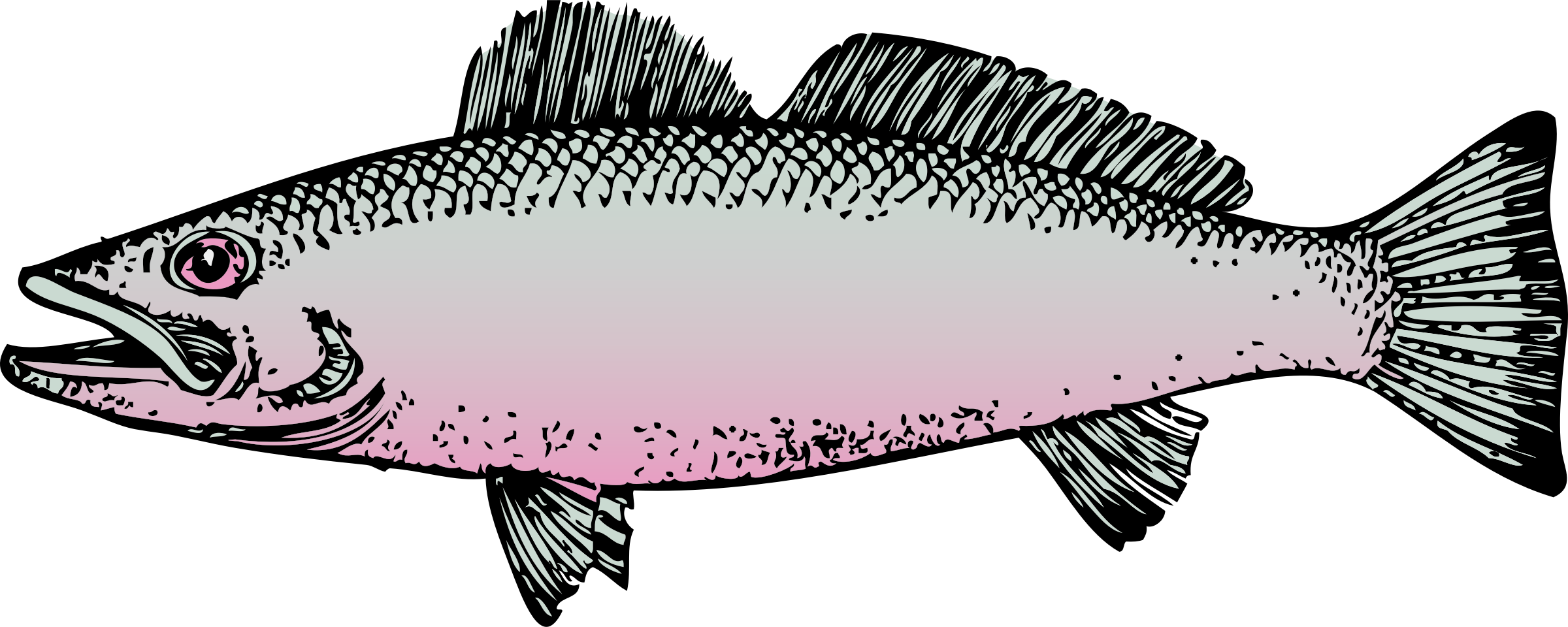 Fish Clipart Side View - Fish Clip Art (2400x960), Png Download