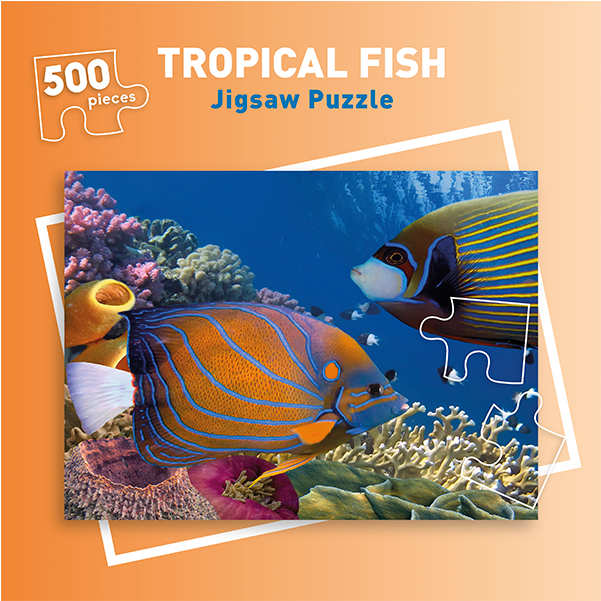 500 Piece Tropical Fish Jigsaw Puzzle (800x600), Png Download
