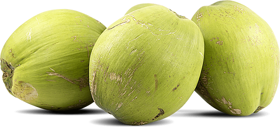 Coconut (575x262), Png Download
