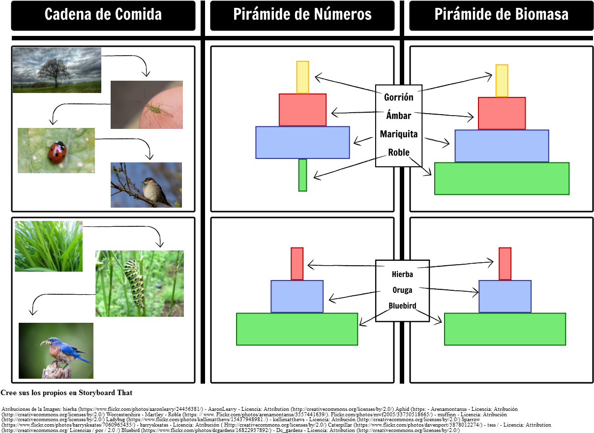 Piramide De Numeros (1248x936), Png Download