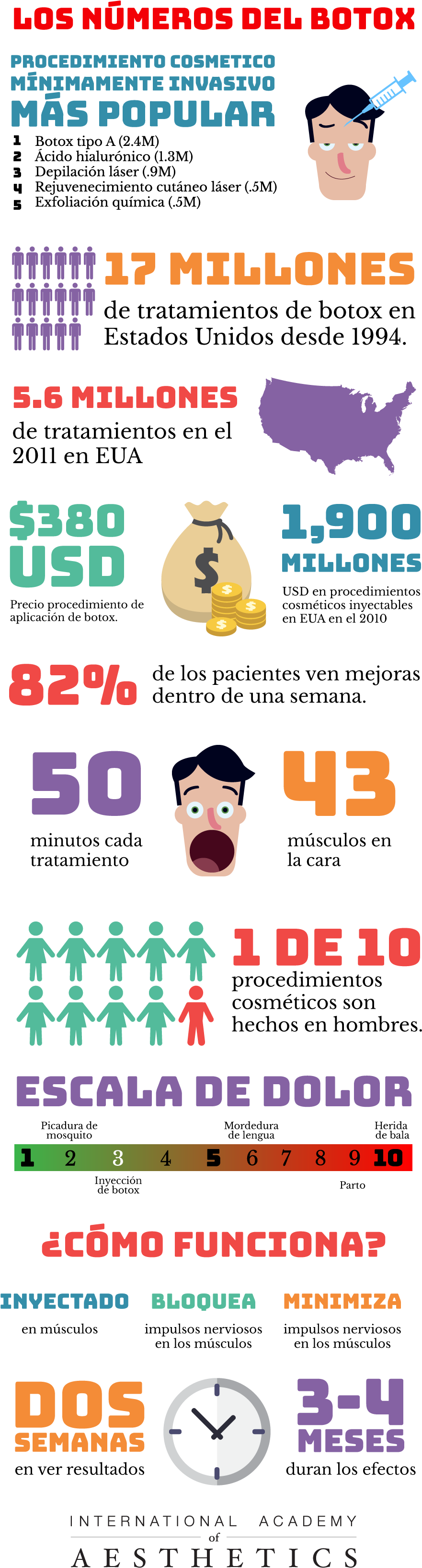 Infográfico Los Números Del Botox - Stickany Palm Series Usa Sticker For Macbook Pro Chromebook (930x3366), Png Download