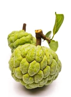 Sugar Apple Png Image With Transparent Background - Sitafal Fruit (404x380), Png Download