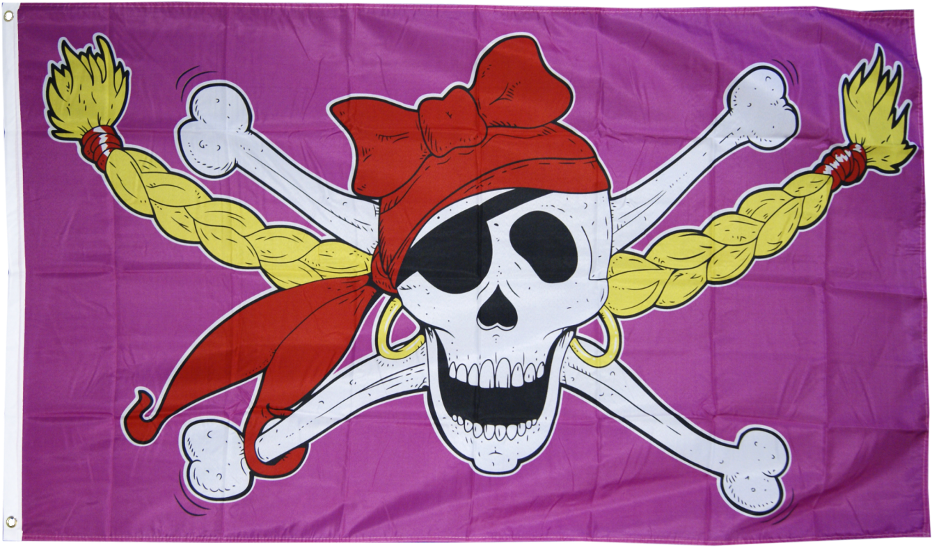 Alta Calidad Británico Hecho Grueso Acolchado Blanco - Drapeau Pirate Fille (1500x998), Png Download