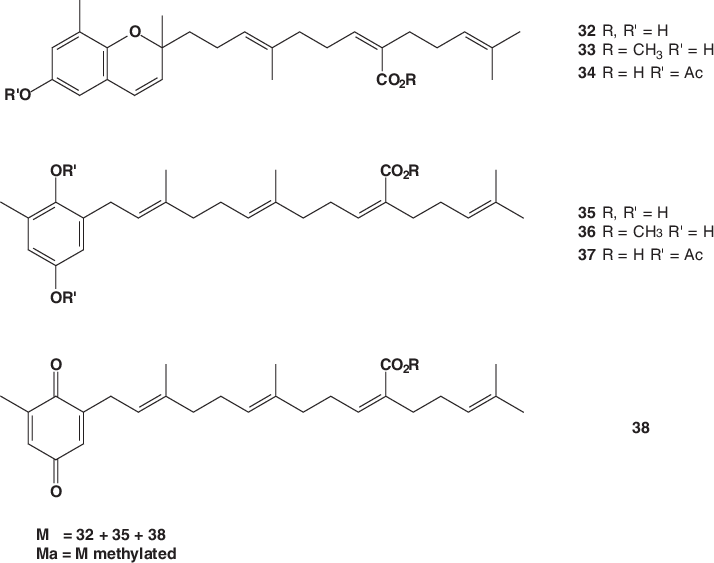 Plastoquinones And Tocotrienols From R - Diagram (714x563), Png Download