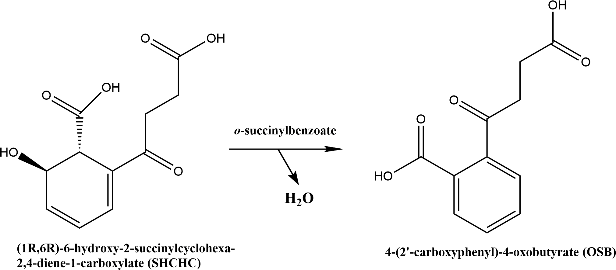 Chemical Reaction Catalyzed By Osbs - Chemical Reaction Png (2042x910), Png Download