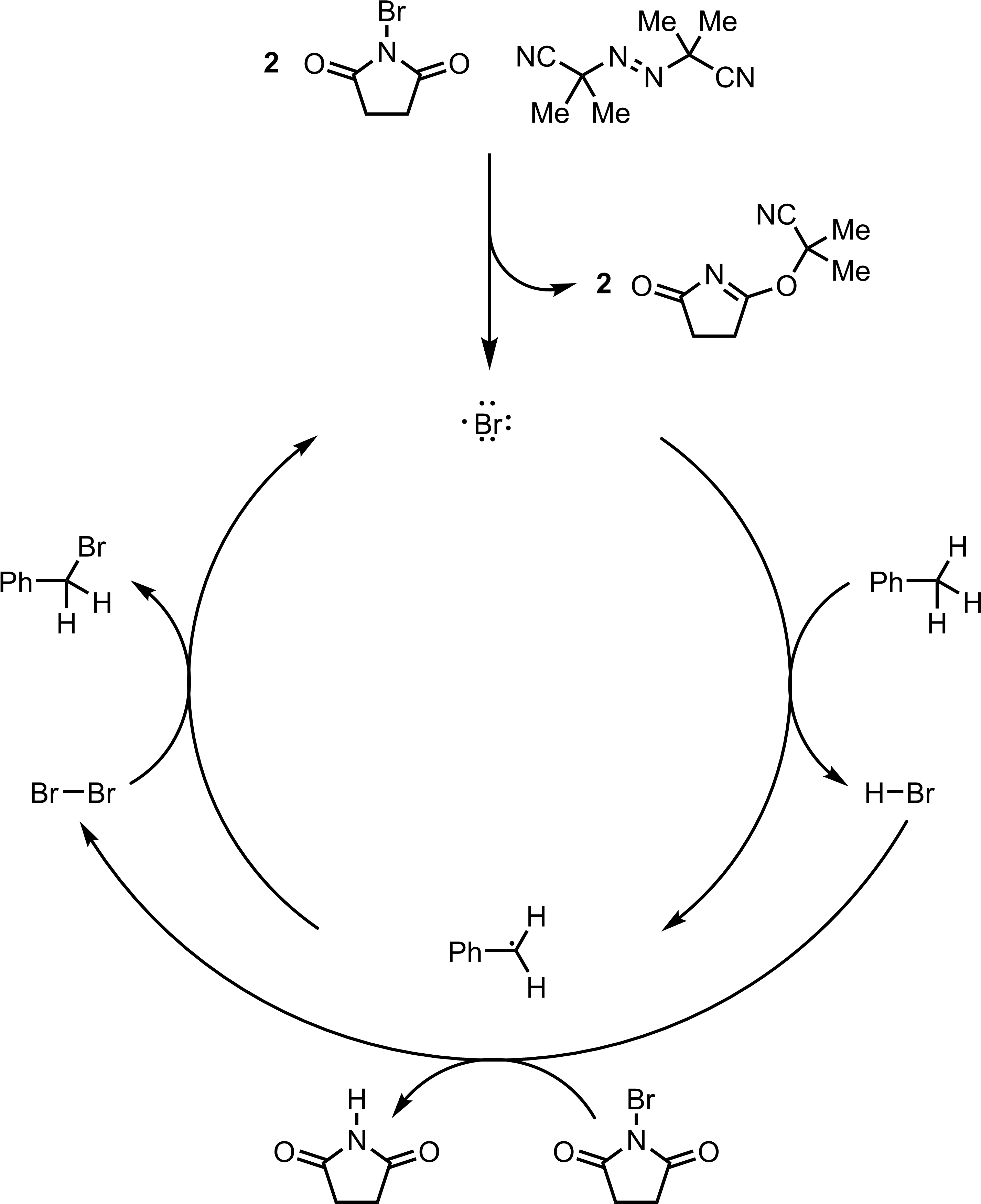Mechanism Of The Wohl-ziegler Reaction - Wohl–ziegler Bromination (2896x3532), Png Download