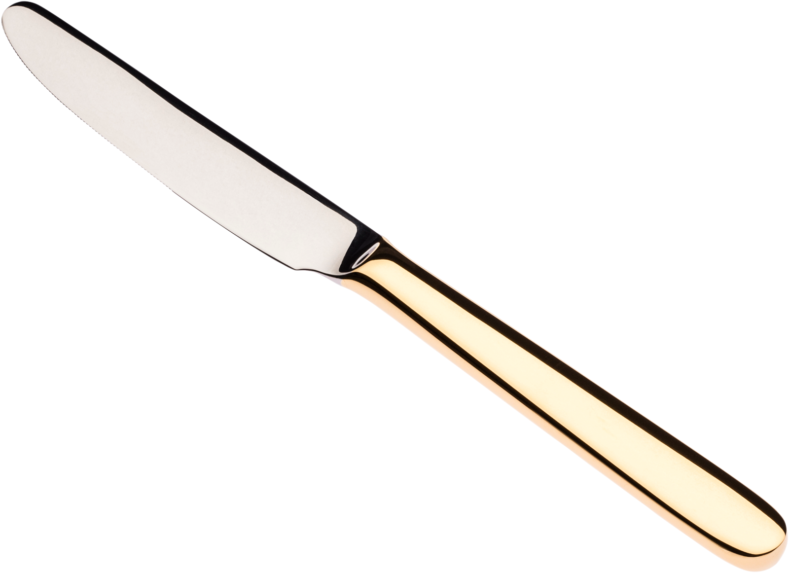 Svg Milano Cutlery Set Pcs Solid Handle Gold - Carl Mertens Milano Dinner Knives With Steel Handle (1600x1162), Png Download
