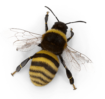 T-shirt (353x353), Png Download