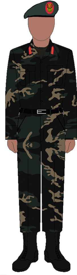 Tanzania Army General Camo Uniform - Tpdf Uniforms (285x974), Png Download