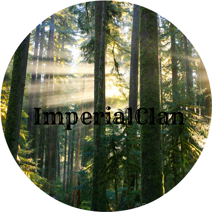 Peter James Photo Gallery Sunbeams In Misty Forest - Misty Forest (1149x766), Png Download