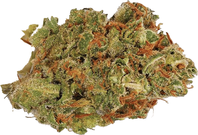 Amnesia Haze - Blue City Diesel (1500x1500), Png Download