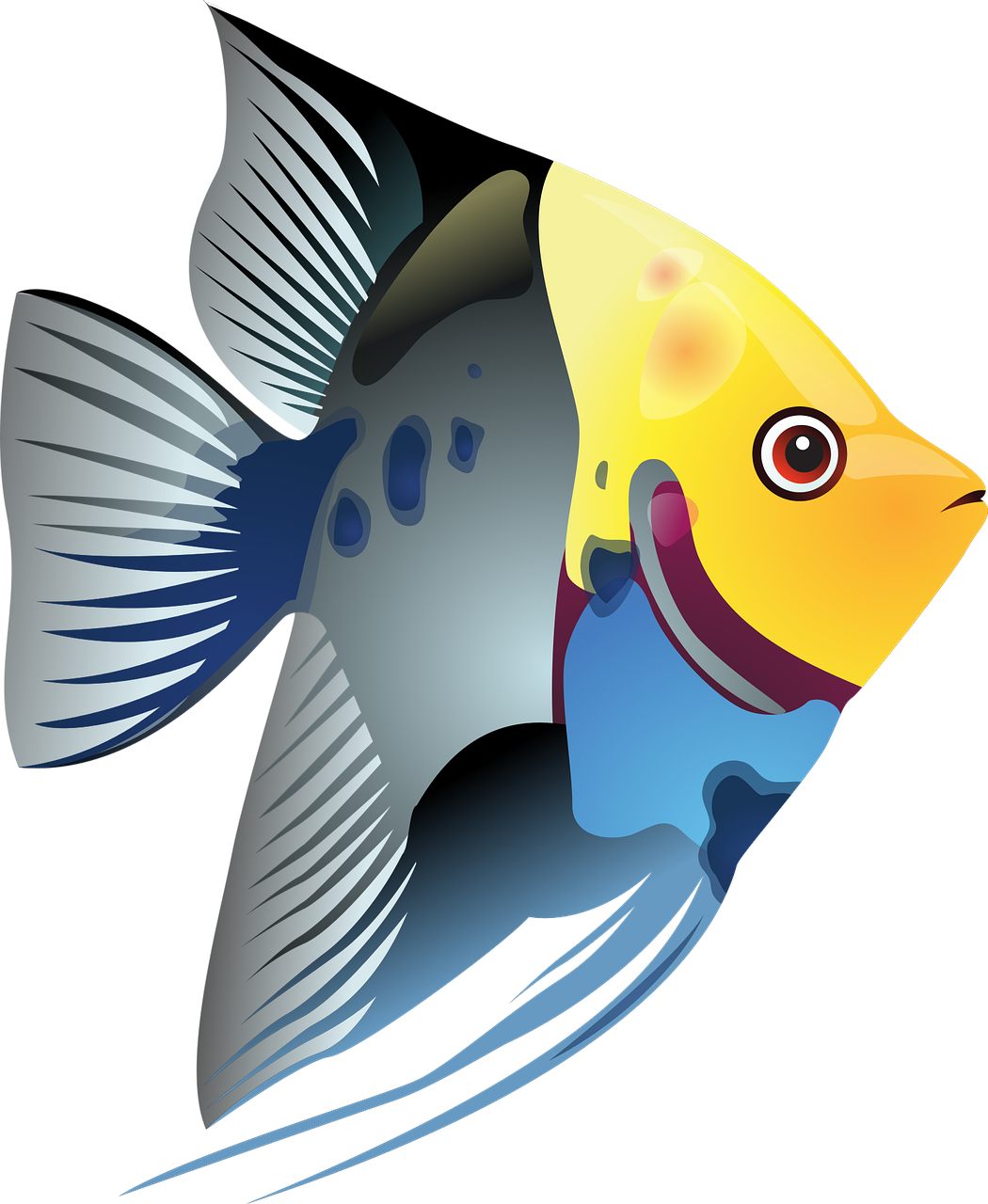 Free To Use & Public Domain Fish Clip Art - Tropical Fish Clip Art (800x975), Png Download