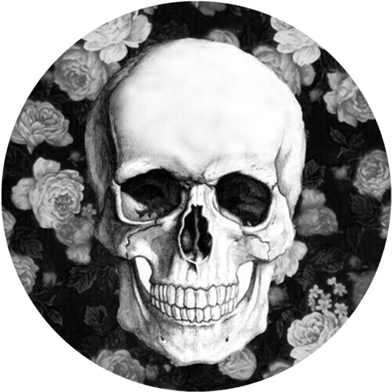 Skull Pop Grip - Caveira Papel De Parede (580x580), Png Download