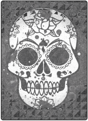 Black And White Skull Blanket - Coque Pour Samsung Galaxy A5 2016 (sm-a510) - Black (500x500), Png Download