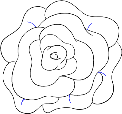 How To Draw Rose Flower Step - Drawing (678x600), Png Download