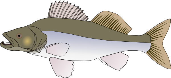Fins Clipart Big Fish - Clip Art Big Fish (600x277), Png Download