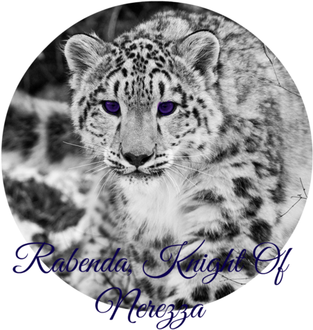 Snow Leopard Snow Hunting Attention Black And White - Guepardo De Las Nieves (507x479), Png Download