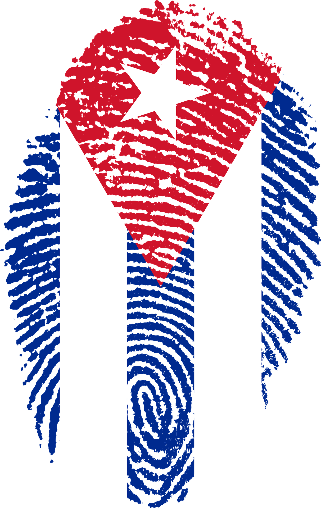 Huella De Bandera - Fidel Castro & The Cuban Revolution: (1213x1920), Png Download