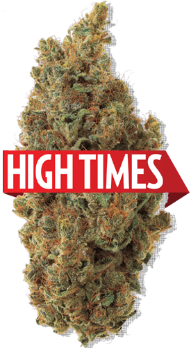 Teaching The World To Grow Since - High Times (275x500), Png Download