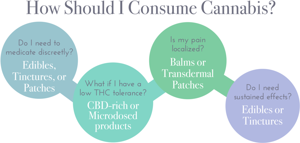 Flow Chart -04 - Baby Ferret (1000x523), Png Download