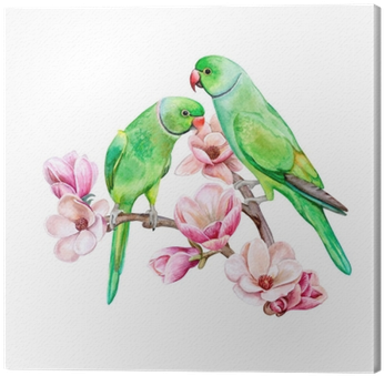 Rose Ringed Parakeet - Green Parrots Clipart (400x400), Png Download