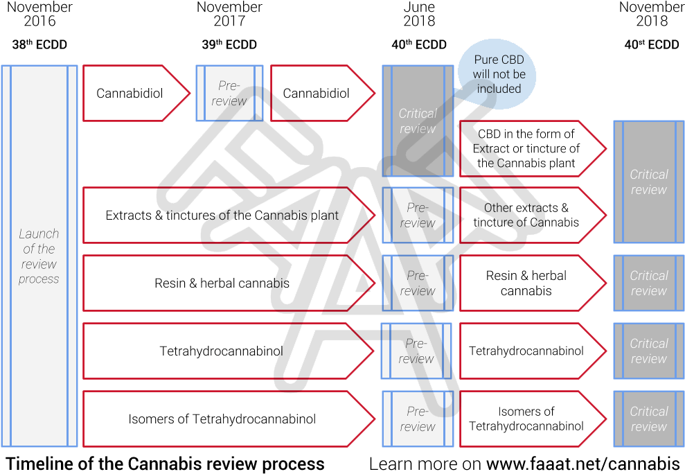 Below Is The Timeline Of The Different Part Of The - Parallel (1003x709), Png Download