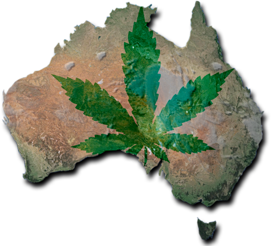 Australia Cannabis (585x500), Png Download