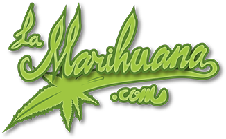 Freedom Leaf, Inc - La Marihuana (600x200), Png Download
