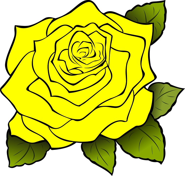 Yellow Rose Flower Free Png Transparent Images Free - Yellow Rose Clipart Png (600x572), Png Download