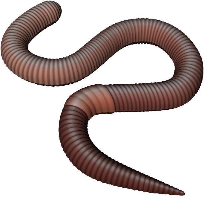 Earthworm Worm Png - Earth Worm Png (820x718), Png Download