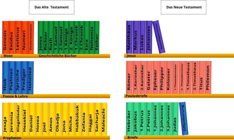 Bible Book Cliparts - Bible Library Of Books (800x479), Png Download