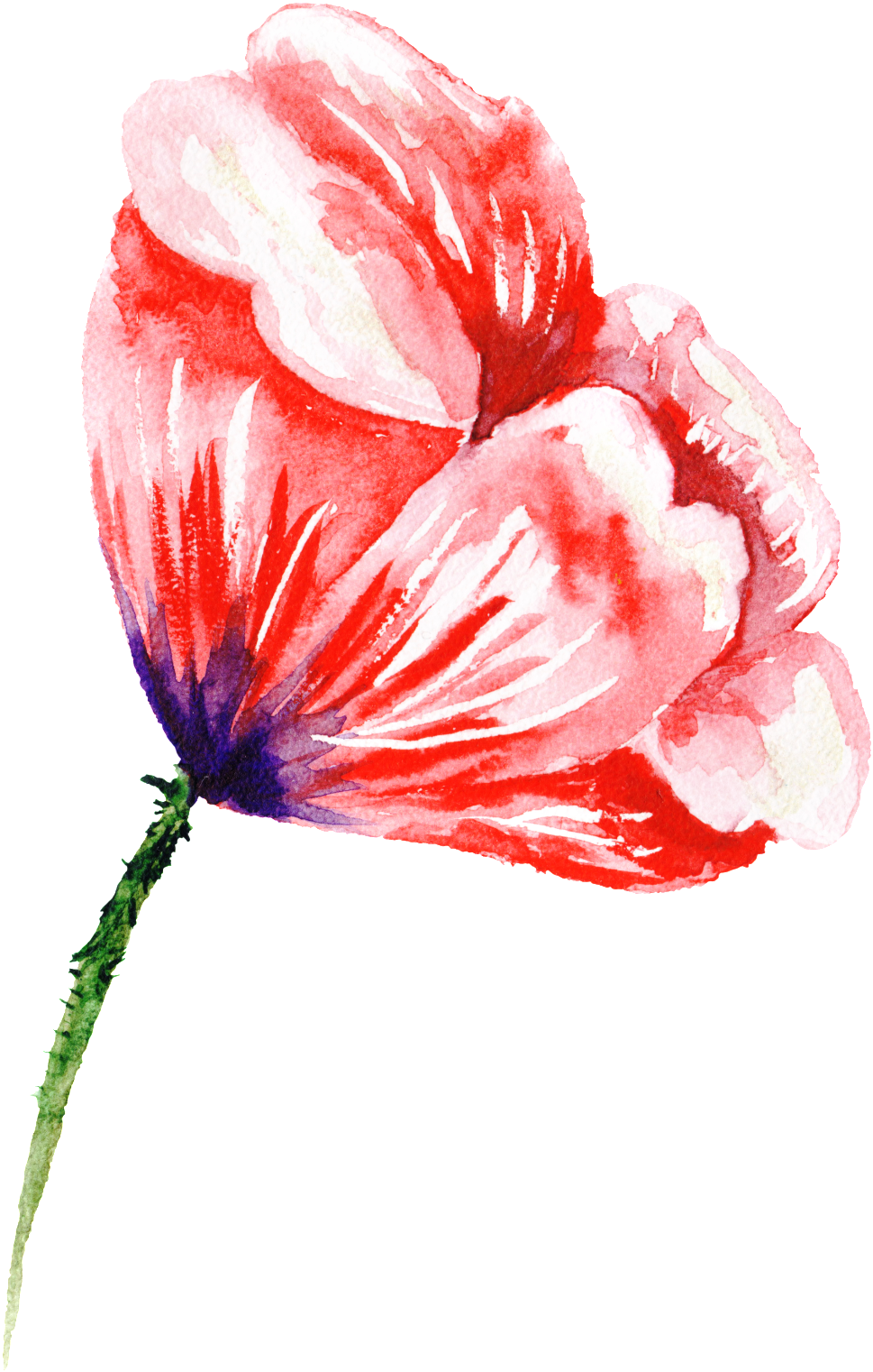 Stock Photography (1024x1616), Png Download