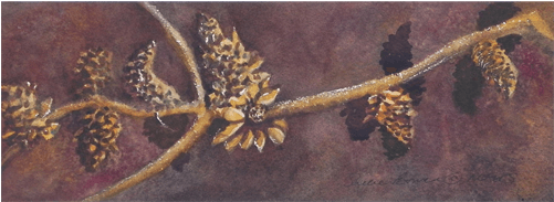 Hanging On, Landscapes Of The West - Motif (500x500), Png Download