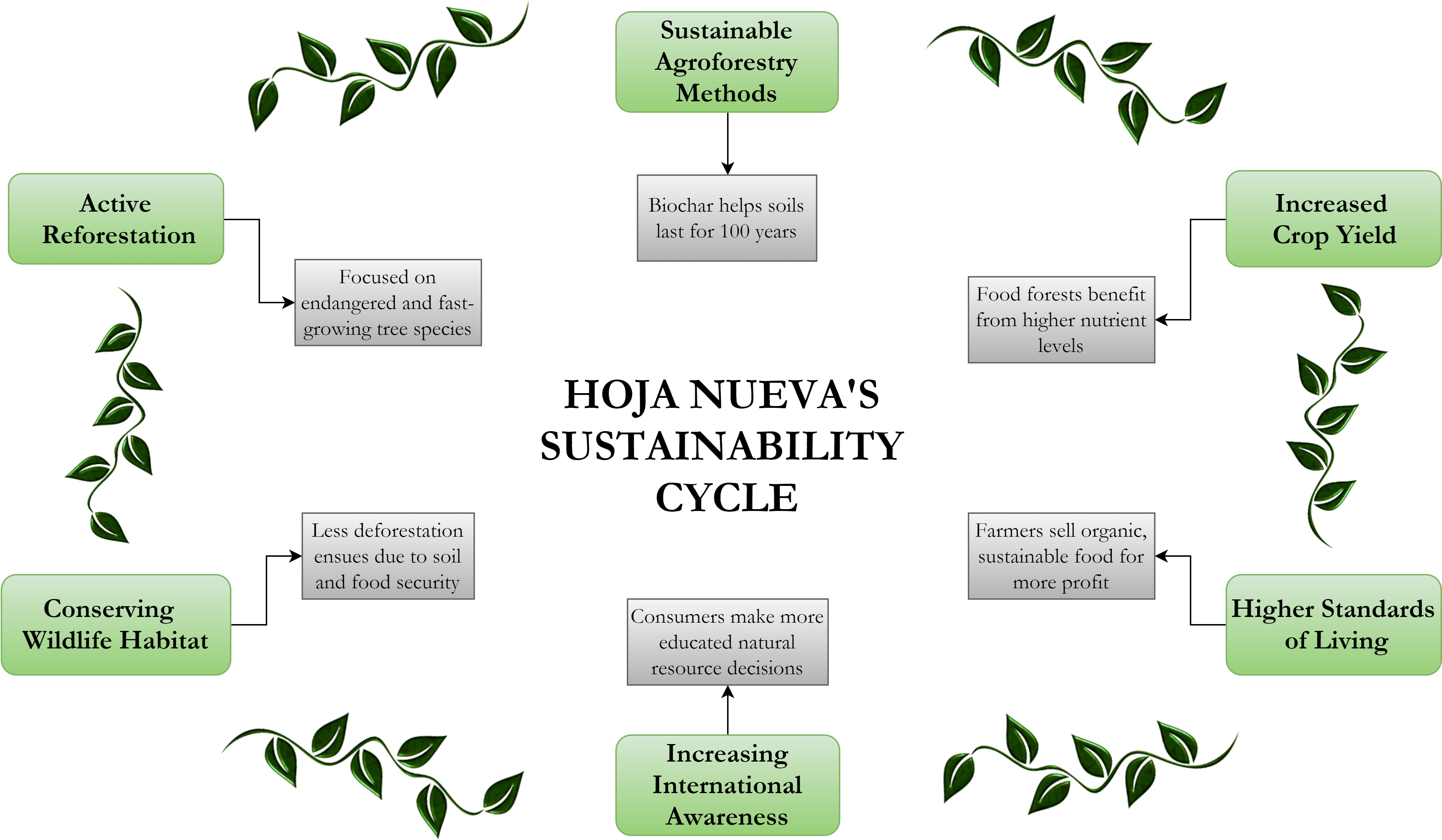 Hoja Nueva Cycle - Plant (4032x2816), Png Download