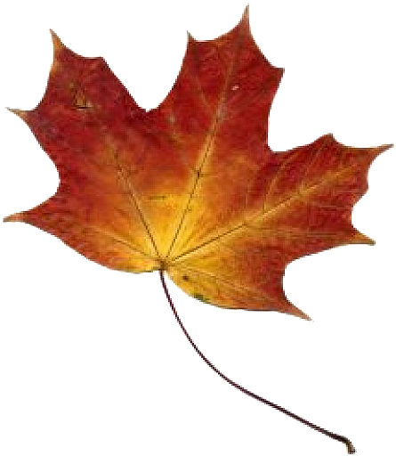 Hojas Png - Imagui - Gentle Hills - Trade Paperback (452x626), Png Download